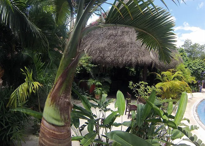 Casa Don Diego 4*